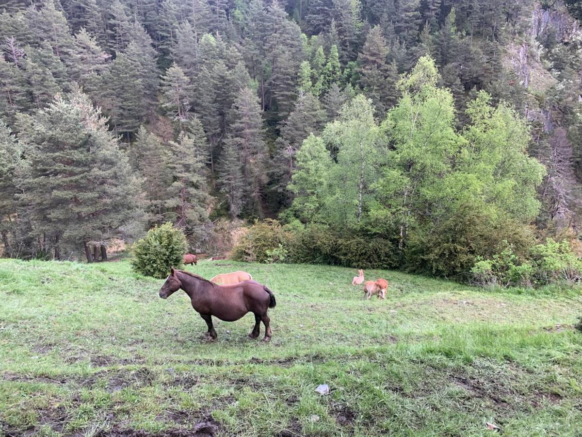Appartement Meligar - G21 Deusol - Estudio - Vall D'incles - Soldeu Incles